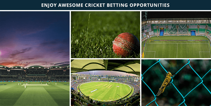 Cricket betting fun for cricket fans who want to participate in the indian market