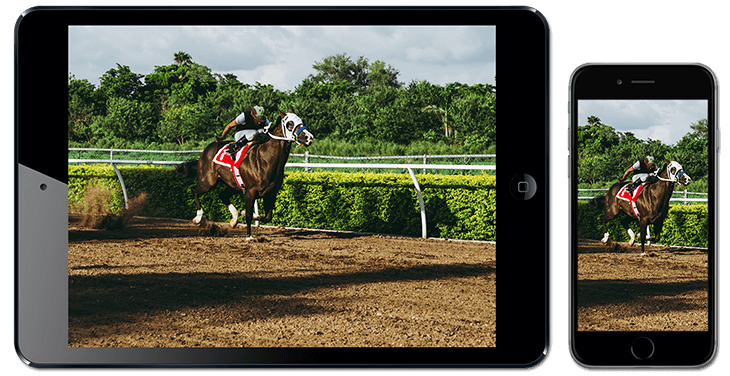 Horse Racing betting mobile devices